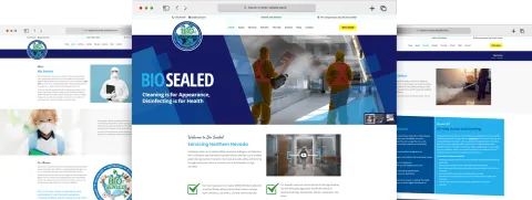 Web Design Project Snapshot of Bio Sealed Website